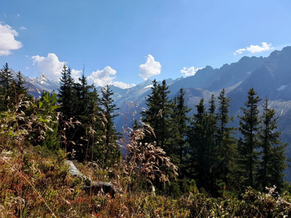 Apart Lisa Mayrhofen Εξωτερικό φωτογραφία